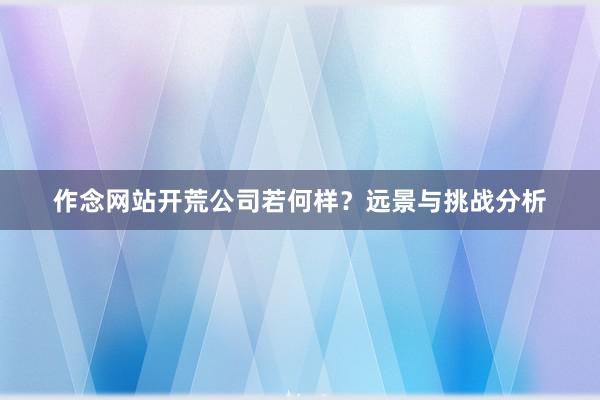 作念网站开荒公司若何样？远景与挑战分析