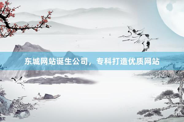 东城网站诞生公司，专科打造优质网站